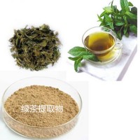 綠茶提取物綠茶粉綠茶速溶粉