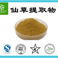 仙草提取物10:1 水溶仙草粉 仙草濃縮粉