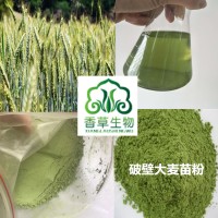 大麥苗提取物大麥苗粉大麥苗提取液浸膏