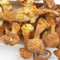 姬松茸提取物  姬松茸粉  姬松茸多糖