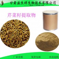 芹菜籽提取物 10:1 芹菜籽粉 噴霧干燥