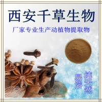 砂仁水溶粉廠家定制天然濃縮烘焙干燥砂仁粉