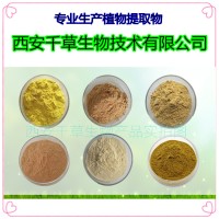 七加皮提取物 廠家生產植物提取物定做濃縮浸膏