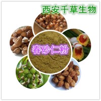 春砂仁天然提取物春砂仁濃縮粉