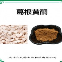 葛根提取物 葛根黃酮 廠家供應