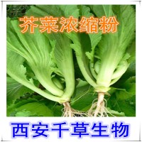 水溶性芥菜天然提取物芥菜濃縮粉廠家專業(yè)定制植物濃縮浸膏