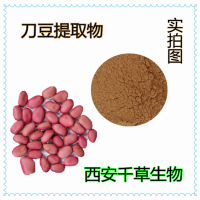 刀鞘豆提取物 藥食同源 廠家生產植物提取物定做刀壩豆濃縮粉