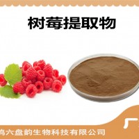 樹莓提取物 樹莓粉 藥食同源原料