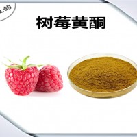 樹莓提取物 樹莓黃酮 廠家供應