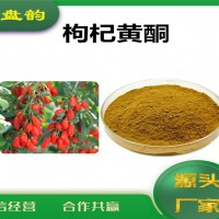 枸杞提取物 枸杞黃酮 廠家供應