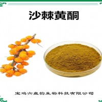 沙棘提取物 沙棘黃酮 植物提取物