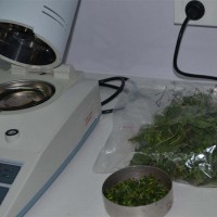 青貯飼料水分測定儀用法