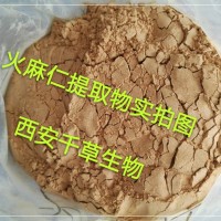 火麻仁提取物藥食同源 廠家生產植物提取物定做線麻子濃縮浸膏