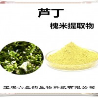槐米提取物 蘆丁 廠家供應