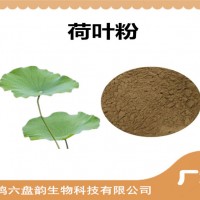 荷葉濃縮粉 廠家發貨