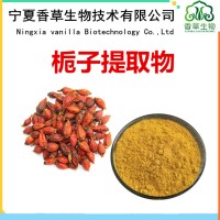 梔子提取物廠家供應 梔子提取液 梔子苷20% 梔子粉