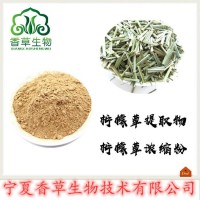 檸檬草提取物批發 檸檬香草粉98%廠家供應 速溶香茅浸膏粉