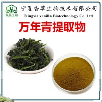 萬年青提取物廠家供應(yīng) 萬年青提取液 萬年青粉 萬年青浸膏