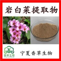 巖白菜提取物 巖白菜素98% 石白菜提取物 虎耳草素廠家包郵