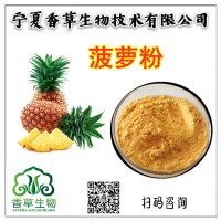 菠蘿果粉批發 菠蘿汁粉 全水溶 菠蘿濃縮汁 鮮汁供應鳳梨果粉