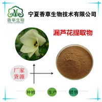 漏蘆花提取物浸膏粉廠家供應(yīng) 中藥材漏蘆根提取物 總黃酮10%