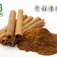 廣西肉桂粉價格肉桂提取物廠家供應牡桂浸膏粉香料原料1kg包郵