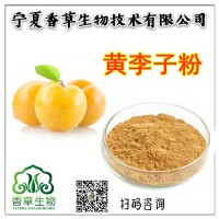 黑李子果粉批發(fā)寧夏黃李子提取液 歐洲李子濃縮汁 鮮汁供應(yīng)