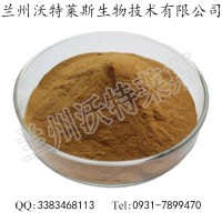鴨跖草提取物  碧竹子提取物 鴨跖草提取粉 現貨供應