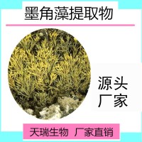 天瑞生物現貨供應墨角藻提取物 墨角藻粉