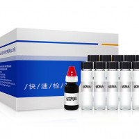 二氫吡啶類快篩試劑盒