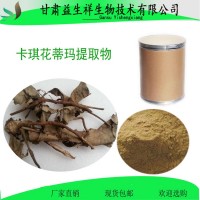 卡琪花蒂瑪提取物 卡其花蒂瑪粉