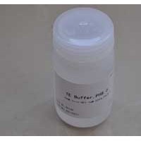 Western及IP細胞裂解液