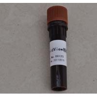 5×蛋白上樣緩沖液(含DTT)