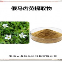 假馬齒莧提取物 假馬齒莧粉 可定制生產