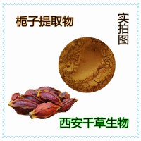 梔子水溶性提取物廠家生產梔子濃縮流浸膏