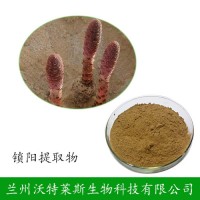 【廠家促銷】鎖陽 植物提取物 鎖陽根提取物