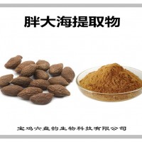 胖大海提取物 胖大海粉 藥食同源 可定制生產