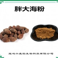 胖大海速溶粉 胖大海粉 廠家發貨