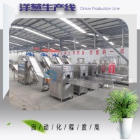 大洋牌定制款洋蔥加工流水線 全自動洋蔥切根脫皮生產線