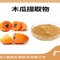 木瓜提取物 木瓜粉 藥食同源 可定制生產