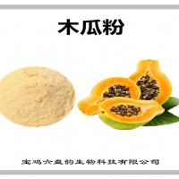 木瓜速溶粉 木瓜粉 廠家發貨