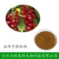 現貨包郵 五味子提取物 五味子總素