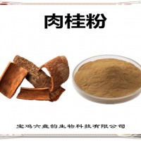 肉桂速溶粉 肉桂粉 廠家發貨