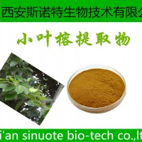 小葉榕速溶粉 小葉榕粉 斯諾特生物 包郵