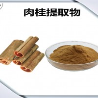 肉桂提取物 肉桂粉 藥食同源 可定制生產