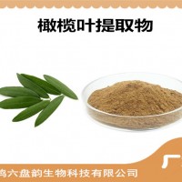 橄欖葉提取物 橄欖葉粉 植物提取物 可定制生產
