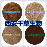 蠶蛻提取物 蠶蛻純浸膏  蠶蛻濃縮粉 蠶蛻水溶粉