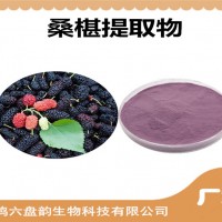 桑椹提取物 桑椹粉 藥食同源原料
