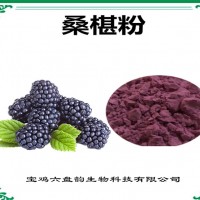 桑椹濃縮粉 桑椹粉 生產廠家