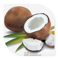 椰汁粉 椰汁噴霧干燥粉椰汁速溶粉